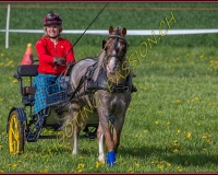 1POSIEUX 0243